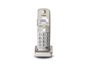 Телефон DECT Panasonic KX-TG8161CAB